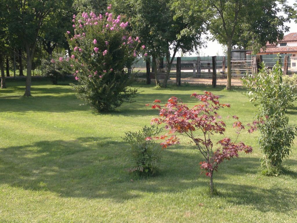 Agriturismo Arte Contadina Fiorenzuola d'Arda Luaran gambar